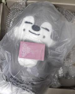 スキズ★ウルフチャン 韓国 ペンミ テディベア ぬいぐるみ スキズ Skzooぬいぐるみ テディベア | TikTok