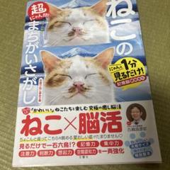毎日脳活スペシャル 超にゃん問! ねこのまちがいさがし お座りねこ多めの巻