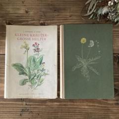 ❀花柄装丁の稀少なお歌の絵本 洋書❀アンティーク ボタニカル