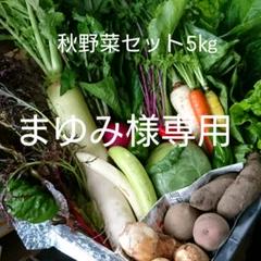 まゆみ様専用