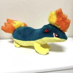 2025年最新】マグマラシ ぬいぐるみの人気アイテム - メルカリ
