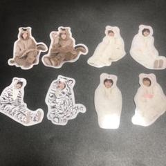 山下瞳月 サンタ オープニング アニラ どうぶつ着ぐるみ 生写真 16種コンプ 山下瞳月 サンタ オープニング アニラ どうぶつ着ぐるみ 生写真