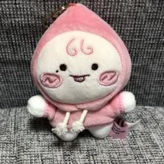 カンダニエル アピーチ コラボ ぬいぐるみ カカオフレンズ もちもち 韓国 ぬいぐるみ アピーチ カカオフレンド カカオトーク カカオ