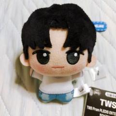 TWS トゥアス ちびぐるみ YOUNGJAE ヨンジェ ナムコ限定 ①