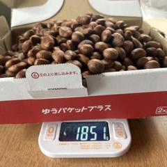 ビワの種 約5kg大小入り混じり ② - メルカリ