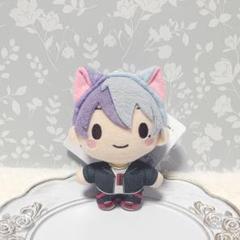 プロセカ ふわぷちマスコット ぬい服 ねこ耳カチューシャ 青柳冬弥ツートンカラー