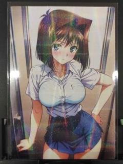 セクシーカード パラ 4915 2枚セット