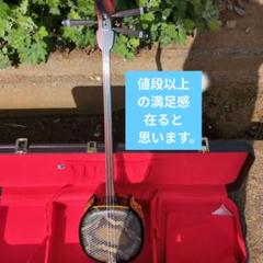 沖縄三線用　人工張チーガ　２ 沖縄三線用 人工張チーガ 2 沖縄三線用 人工張チーガ 2