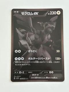 ゼクロム BWR