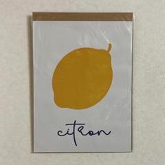 布 ポスター「レモン　lemon　イラスト　フルーツ」