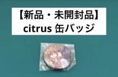 【激レア】　citrus 缶バッジ　缶バッチ　4個セット　新品・未開封品　美品 激レア】 citrus サブロウタ 缶バッジ 百合 漫画 シトラス 新品