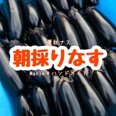 2025年最新】なすの人気アイテム - メルカリ