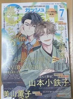 GUSH19・20・21周年描き下ろし小冊子・「Anniversary他２冊」 ナカまであいして【公式】 on X: 