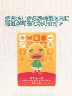 あつ森 アミーボ amiibo カード 全弾 フルコンプ 504枚 セット あつ森 アミーボ amiibo カード 全504枚 全弾 フルコンプセット