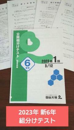 coco四谷大塚6年生組分けテスト&カリキュラム2023年1回-18回 四谷大塚 6年生 2024/2023年 組分けテスト 第1回〜第3回 2年分