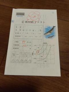 くもん 公文 算数E教材 200枚の内192枚 未使用多数 教材終了
