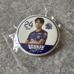 サンフレッチェ広島　2023 Ｊカード　川村拓夢、東俊希　2枚セット 2025年最新】東俊希の人気アイテム - メルカリ