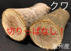 丸太 ウッドスプーン クラフト 木材 彫刻 ウッドカービング 材木 ククサ