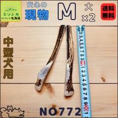 鹿の角 24時間以内発送 楽天市場】送料無料 鹿の角 ペア 小サイズ （約60センチ以下の