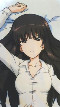 駿河屋 -【アダルト】<中古>西住しほ 抱き枕カバー 「ガールズ