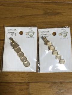 アクセサリーパーツ　2個セット