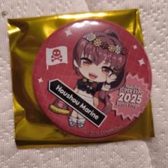 宝鐘マリン　後夜祭　缶バッジ　21点セット 宝鐘マリン・クリアカード・缶バッジセット・後夜祭・hololive