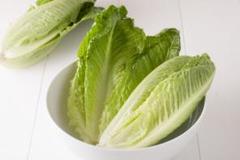 野菜種子 ロメインレタス 50粒