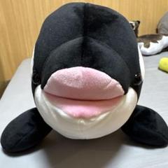 Amazon.co.jp: 須磨シーワールド シャチ ぬいぐるみ