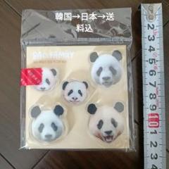 韓国唯一のパンダ一家「バオファミリー」紹介