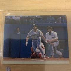 89年度セシル・フィルダー 阪神タイガース タカラ プロ野球12