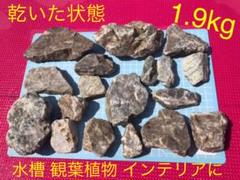 ⑥ 清流石 1.9kg 水槽 観葉植物 飾り付け