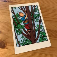 2025年最新】TINTIN ポストカードの人気アイテム - メルカリ