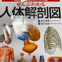 人体系統解剖学 81NvfSq2fwL._UF350,350_QL50_.jpg