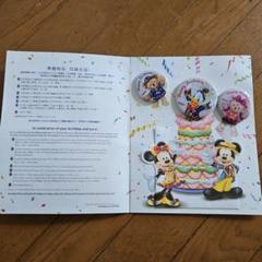 【レア】　ディズニーランドリゾート　ピンバッジ　年パス所有者限定 非売品・来園者配布・レア・レトロ・ディズニーランド 4点セット