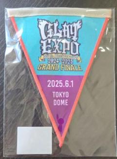 GLAY グレイ ガーランド 東京ドーム 6/1 expo final バッジ
