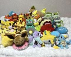 ポケモンセンター　ヒトカゲ　20 インチ　ぬいぐるみ　等身大　タグ付き ポケモンセンター ヒトカゲ 20 インチ ぬいぐるみ 等身大 タグ