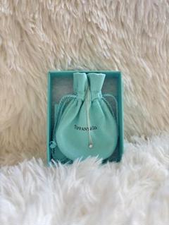 Tiffany & Co. ダイアモンドバイザヤード　シングルダイヤモンド