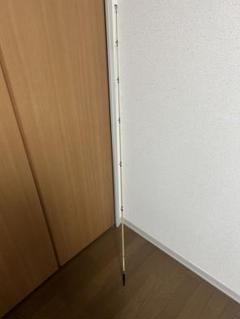 GUN DEENI STICK フロッグプロダクツ　とっぷウォーター　バス　竿 FROG GUN-DEENI SPIDER STICK ！ | トップウォーター ～水の中の