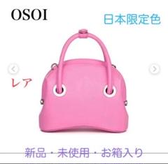 お気に入り オソイ OSOICERCLEMINI バッグ 日本限定色 レア【新品・未使用品 バッグ