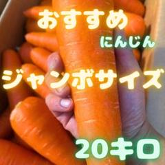 人参　にんじん　20kg 03 人参 20kg 04