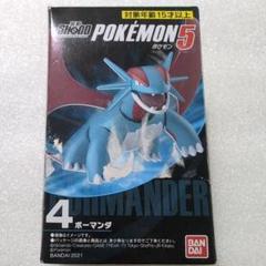 ポケモン ボーマンダ進化系 フィギュア ガレージキット