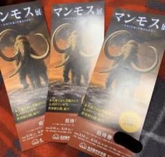 名古屋 マンモス展 チケット 3枚