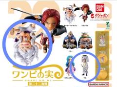 ワンピの実　第二十二海戦　ニカルフィ　ペルのサムネイル
