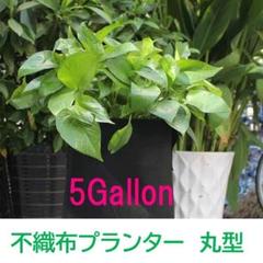 家庭菜園 プランター 不織布 フェルト トート 野菜果物(5Gallon)