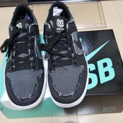 NIKE SB ZOOM DUNK LOW ELITE QS