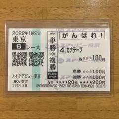 ボーンジーニアス号の応援馬券 2025年最新】応援馬券の人気アイテム - メルカリ