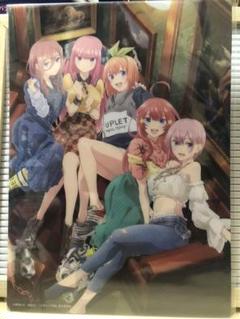 クラックス 五等分の花嫁 下敷きA 新品未開封