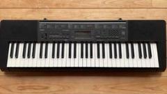 CASIO【新品未使用】 LK-S12 電子オルガン