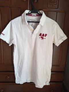A&F ホワイト ポロシャツ