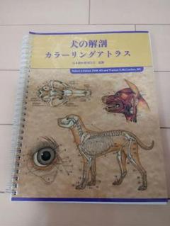 2025年最新】犬の解剖アトラスの人気アイテム - メルカリ